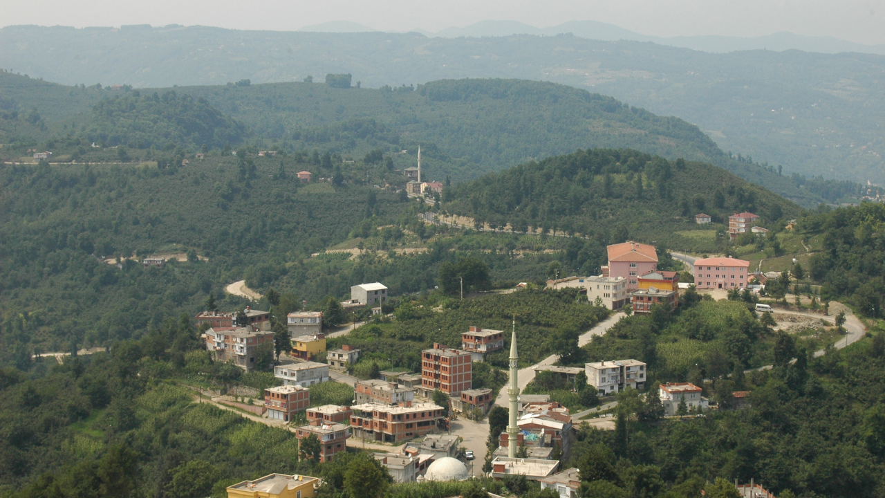 Çamaş Nakliyat